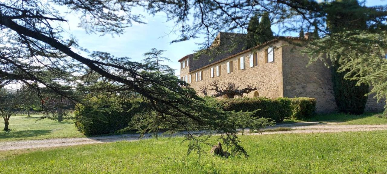 Chateau Saint-Pierre De Mejans Puyvert Exterior foto