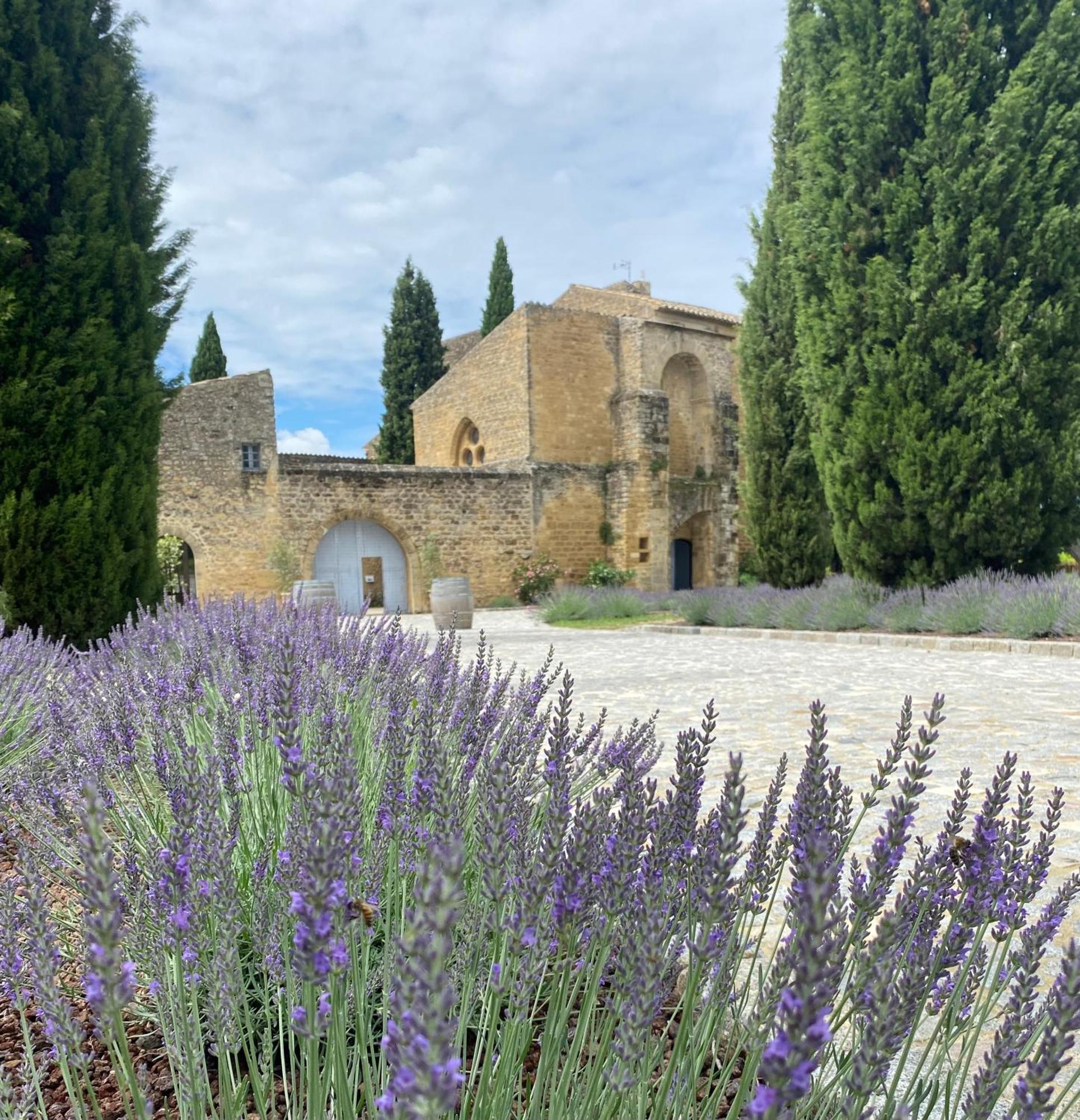 Chateau Saint-Pierre De Mejans Puyvert Exterior foto
